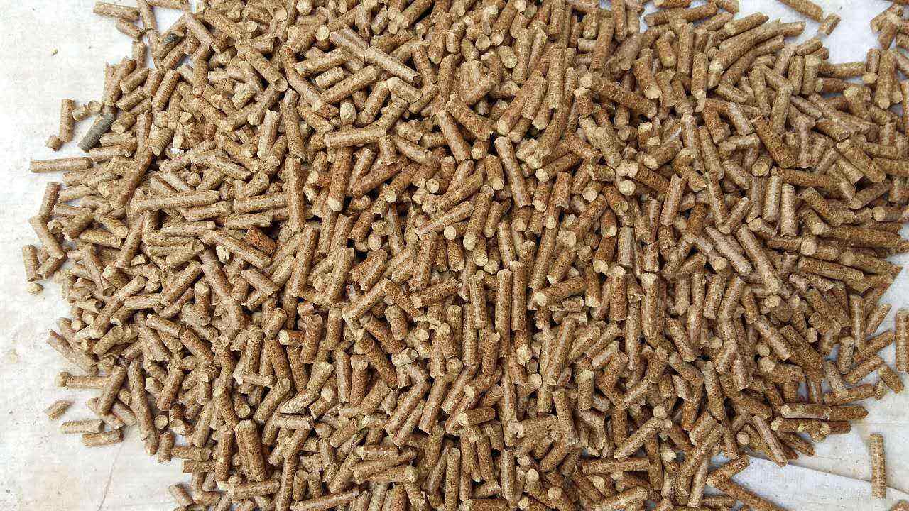生物質(zhì)導(dǎo)熱油爐的原理跟應(yīng)用你知道多少？